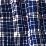 2 blue plaid