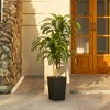 5-6ft UV & Sunproof Artificial Dracaena Tree for Indoor/Outdoor - Faux Silk Plant in Tall Planter, Tall Faux Tree for Home & Garden Decor - 4 of 4