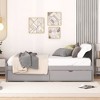 Twin Size Platform Bed with 2 Drawers for Bedroom - 4 of 4