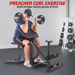 2-In-1 Roman Chair & Preacher Curl Bench Multi-Function Heavy-Duty Hyperextension Bench for Home With Adjustable Height for Arms, Ab, Back - 1 of 4