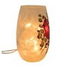 Stony Creek 5.25 In Cardinal Christmas Pre-Lit Small Vase Christmas Lighted Glass Accent , Christmas Decor Christmas Red Bird (1PC) - 4 of 4