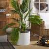 Braslen Concrete Ficonstone Planter - Indoor/Outdoor - PAT1516 - White - Safavieh - 2 of 4