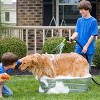 Costway 25/50/75 FT Expanding Garden Hose Flexible Water Hose w/9 Function Spray Nozzle - 4 of 4