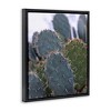 Stupell Industries Prickly Cactus Thorns Close Up Photography Desert Vegetation Floating Frame Canvas Art, Black, 17" x 21" - 2 of 4
