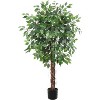 5FT Artificial Ficus Tree with Natural Wood Trunk, Fake Ficus Silk Tree in Plastic Nursery Pot, Faux Plant for House Living Room Office - 2 of 4