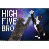 Trends International Keith Kimberlin - Kittens - High Five Bro in Space Unframed Wall Poster Prints - 4 of 4