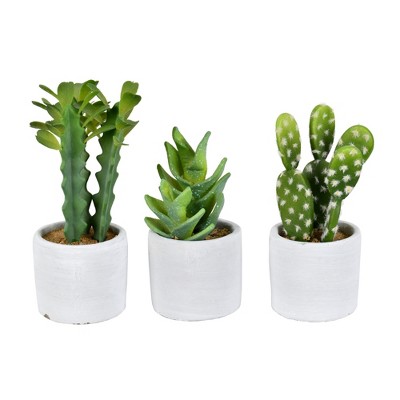 Vickerman Set of 3 Assorted 7" Potted Artificial Cactus Plants, Set of 3