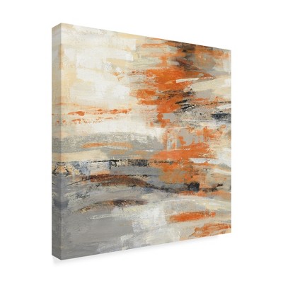 Trademark Fine Art -Silvia Vassileva 'Golden Dust Crop Orange' Canvas Art