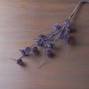 Melrose Pine Cone Spray (Set of 6) - 3 of 4