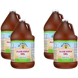 Lily Of The Desert Aloe Vera Gel - Case of 4/1 gal - 1 of 4