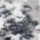 charcoal, black, mustard, gray, lightgray