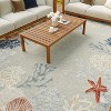 Nourison Suncoast Beach Indoor/Outdoor Flatweave Rug - 4 of 4