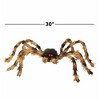 Palmer Agencies Ltd Giant Poseable Tarantula Halloween Decor | 30 Inches - 4 of 4