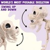 Joyfy 9.8’’ Halloween Posable Dog Skeleton, Full Body Puppy Skeleton with Movable Joints for Halloween Graveyard Haunted House Party Decoration - 2 of 4