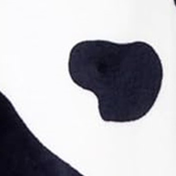 black and white cow
