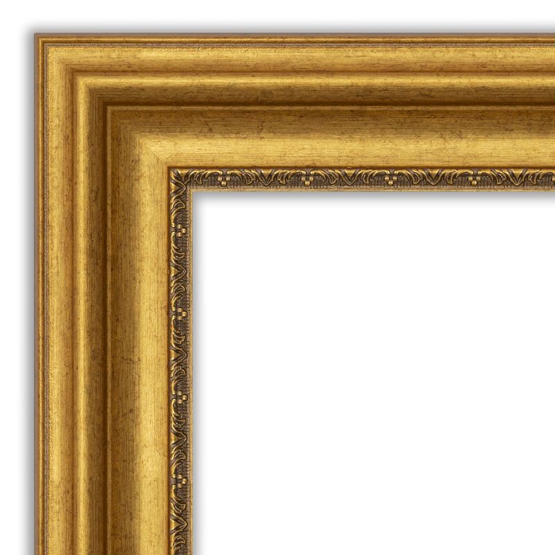 Amanti Art Parlor Gold Picture Frame, 2 of 11