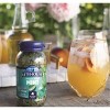 Litehouse Freeze Dried Mint - 0.28oz - 2 of 4