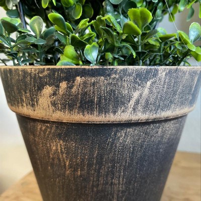 Guest review image 3 of 3, zoom in