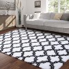 Fluffy Runner Rug, Soft Plush Non-Slip Hallway Carpet for Bedroom Living Room Kids Girls Boys Dorm, Shag Furry Non-Shedding Floor Decor - 2 of 4