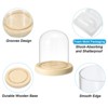 Unique Bargains Wooden Base Plants Home Decor Glass Bell Jar Display Case - 3 of 4