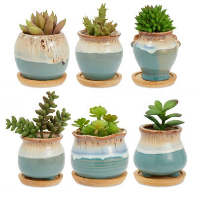 Okuna Outpost 6 Pack Small Ceramic Succulent Pots With Drainage Tray ...