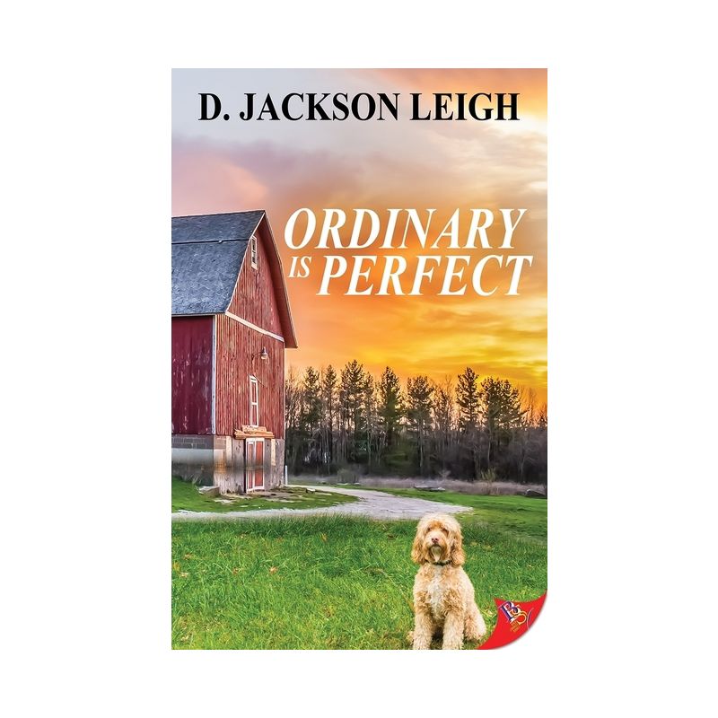 Ordinary Is Perfect - by  D Jackson Leigh (Paperback), 1 of 2