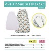 Norani One and Done Swaddle Wrap Sleep Sack - 4 of 4
