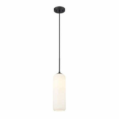 Z-Lite Monty 1 - Light Pendant in  Matte Black
