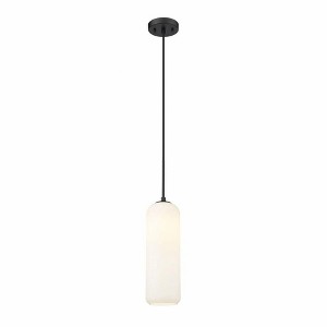Z-Lite Monty 1 - Light Pendant in  Matte Black - 1 of 1