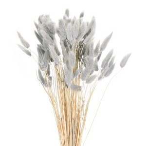 Unique Bargains Decorative Natural Dried Floral Bunny Tail Artificial Plants 120 Pcs - 1 of 4