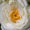 National Tree Company 13" White Peony Roses Bundle - 3 of 4