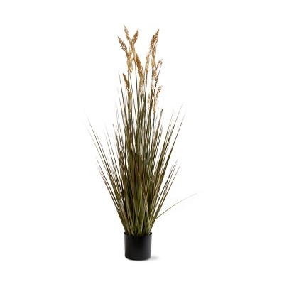 tagltd Field Grass