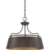 Quoizel Lighting Fairview 4 - Light Pendant in  Western Bronze - 4 of 4