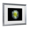 Trademark Fine Art - Brian Carson Backyard Flowers 62 Matted Framed Art - 3 of 4