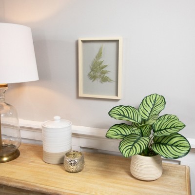 Natural Wood Framed Artificial Fern Leaf Wall Art, 11.75"