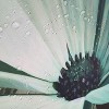 LunaLulinlk Rustic Farmhouse Shower Curtain - 3 of 4