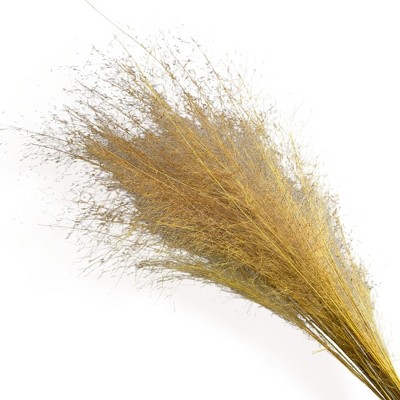 Alilang Decorative Dried Wispy Grass Stems for Home Decoration and Floral Arrangements, 17 Inches