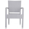 Kelda Arm Chair Indoor/Outdoor (Set Of 2) - Safavieh - 4 of 4