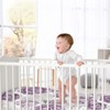Sweet Jojo Designs Girl Satin Fitted Crib Sheet Peony Floral Garden Purple Ivory and Green - 4 of 4