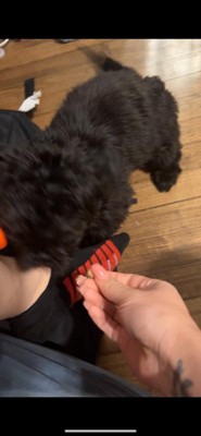 Guest review image 2 of 3, zoom in