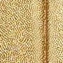 gold sparkly shimmer