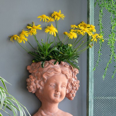 VisioGear Visage Head Bust Planter, Home Wall Planter, Modern Design for Indoor and Outdoor Spaces, Brown, 7.9"*3.9"*9.1"