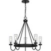 Progress Lighting Swansea 5-Light Outdoor Living Round Chandelier, Matte Black, Clear Glass - 3 of 3