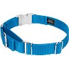 Country Brook Petz Heavyduty Nylon Martingale with Premium Buckle - 2 of 4