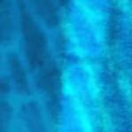 navy tie dye