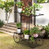 SEVOBAL 6 Tiers Garden Cart Stand Flower Pot Plant Holder Display Rack Parisian Style Black with 4 Decorative Wheels Multilayer Parisian Style Plant - 2 of 4