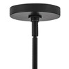 Lark Axton 10 - Light Chandelier in  Black/Lacquered Brass - 4 of 4