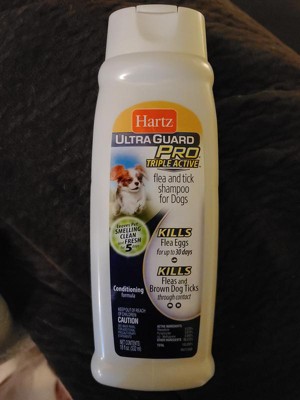 Hartz flea and outlet tick shampoo for dogs