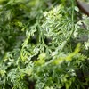 Sullivans Artificial 29" Hanging Mini Fern, Green - 2 of 2