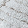 Lion Brand AR Workshop Chunky Knit Yarn - 2 of 2
